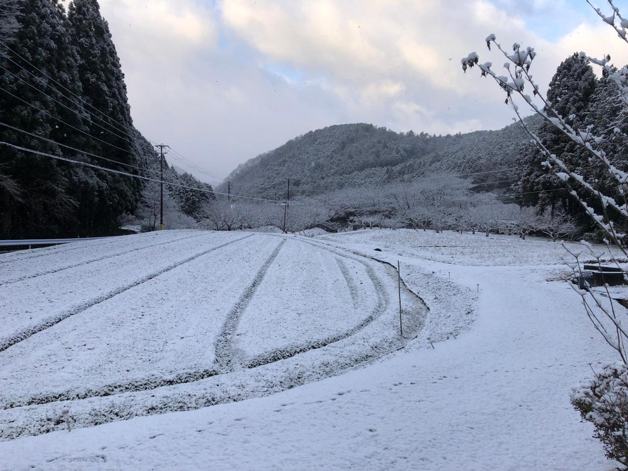 Satoyama Hotel Kanenone Tamba 米原市 エクステリア 写真