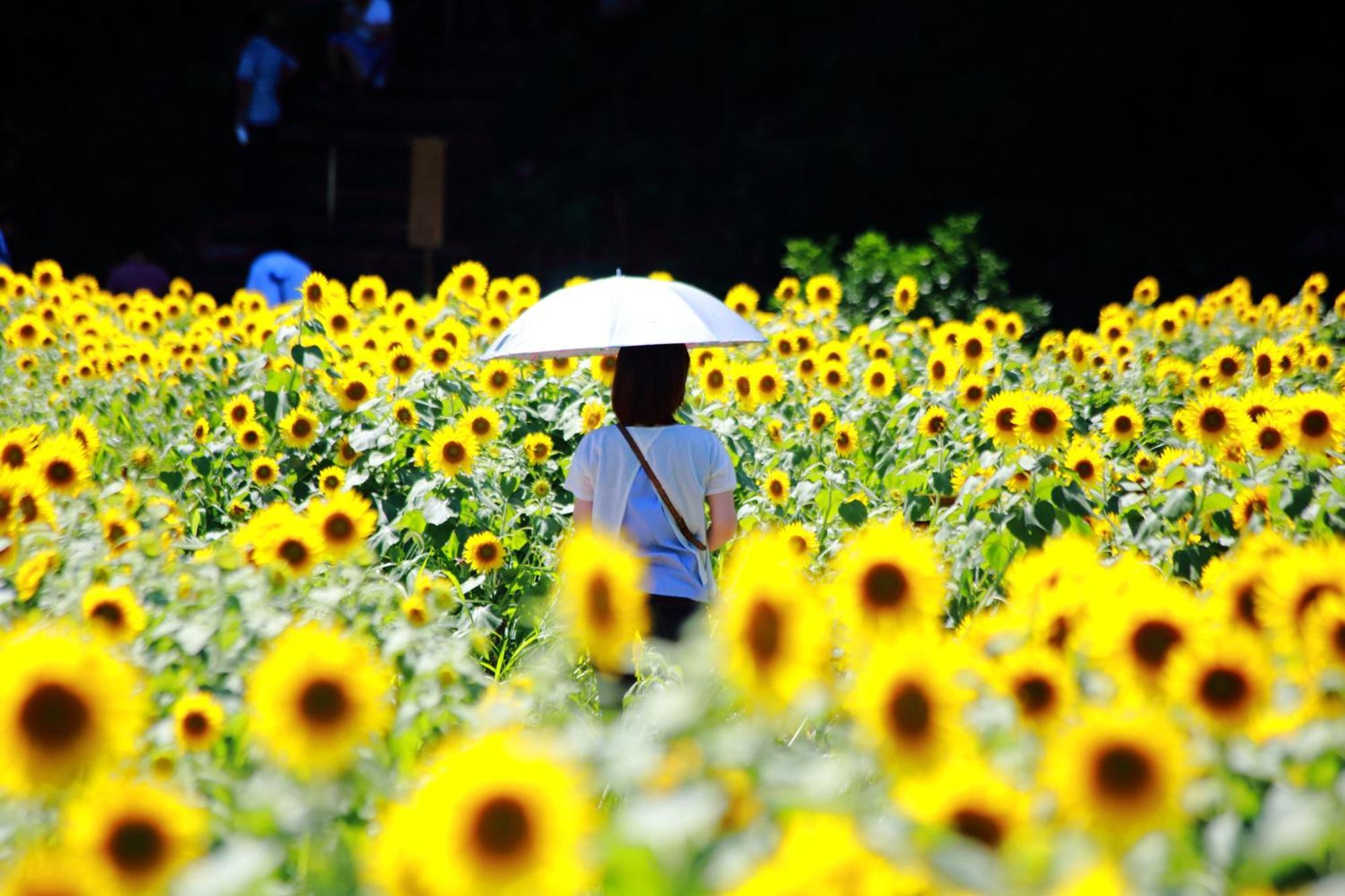Satoyama Hotel Kanenone Tamba 米原市 エクステリア 写真