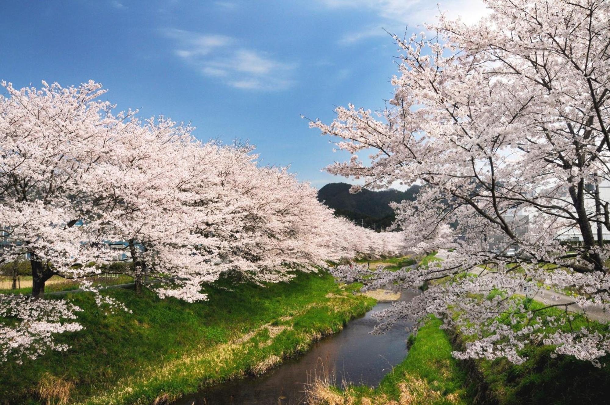 Satoyama Hotel Kanenone Tamba 米原市 エクステリア 写真