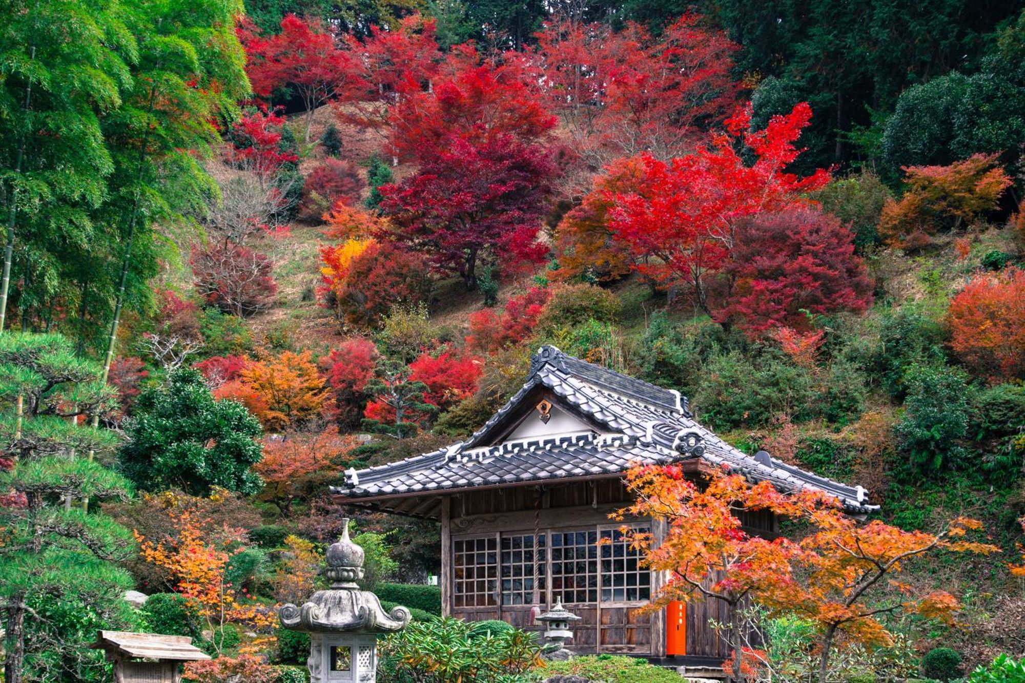 Satoyama Hotel Kanenone Tamba 米原市 エクステリア 写真