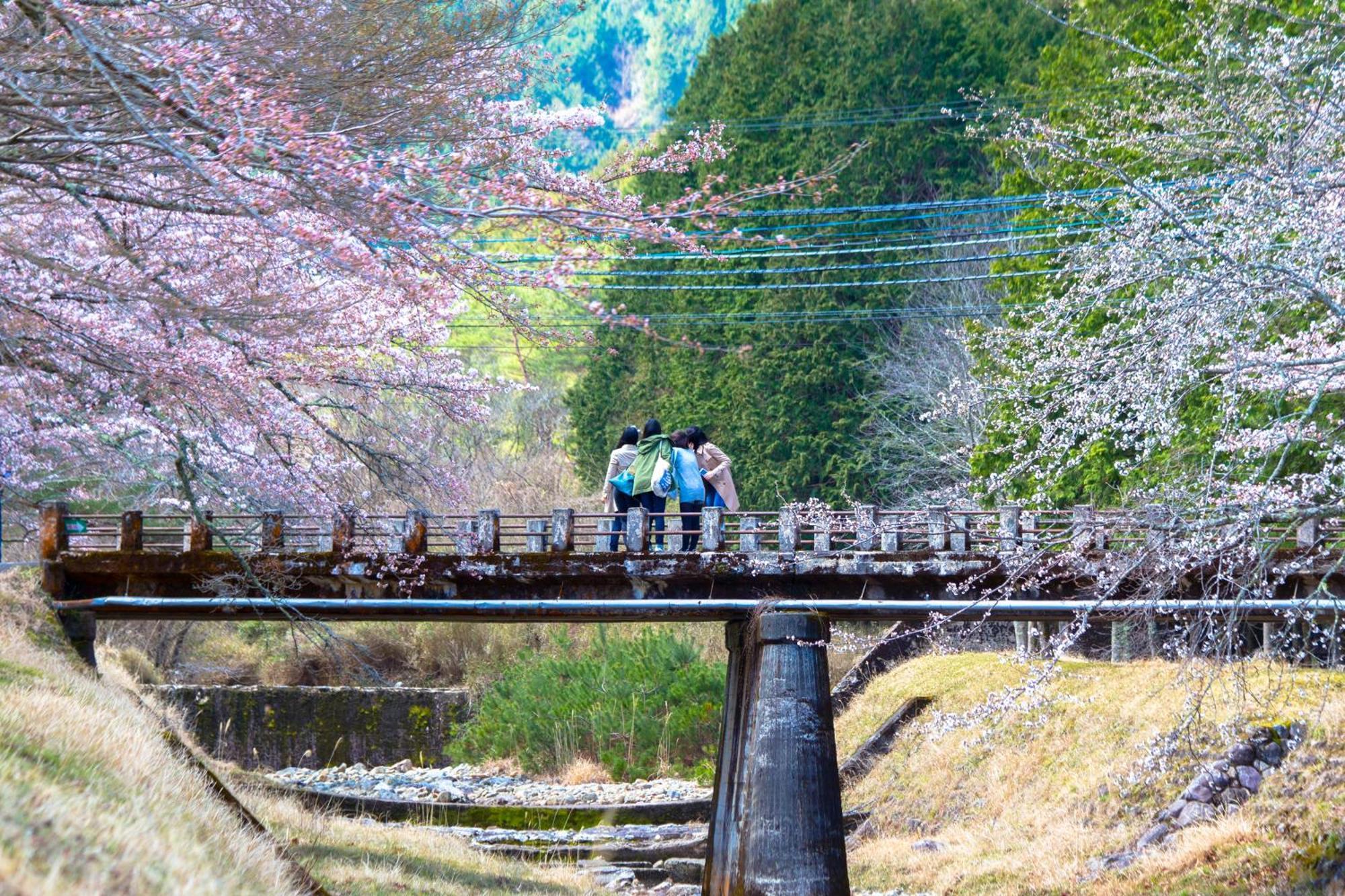 Satoyama Hotel Kanenone Tamba 米原市 エクステリア 写真