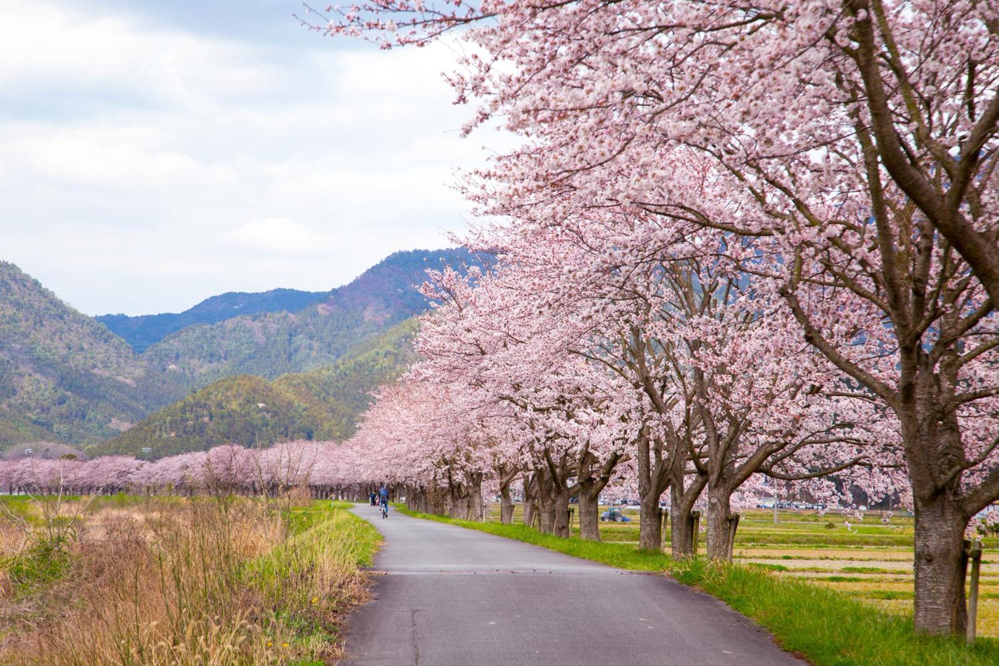 Satoyama Hotel Kanenone Tamba 米原市 エクステリア 写真