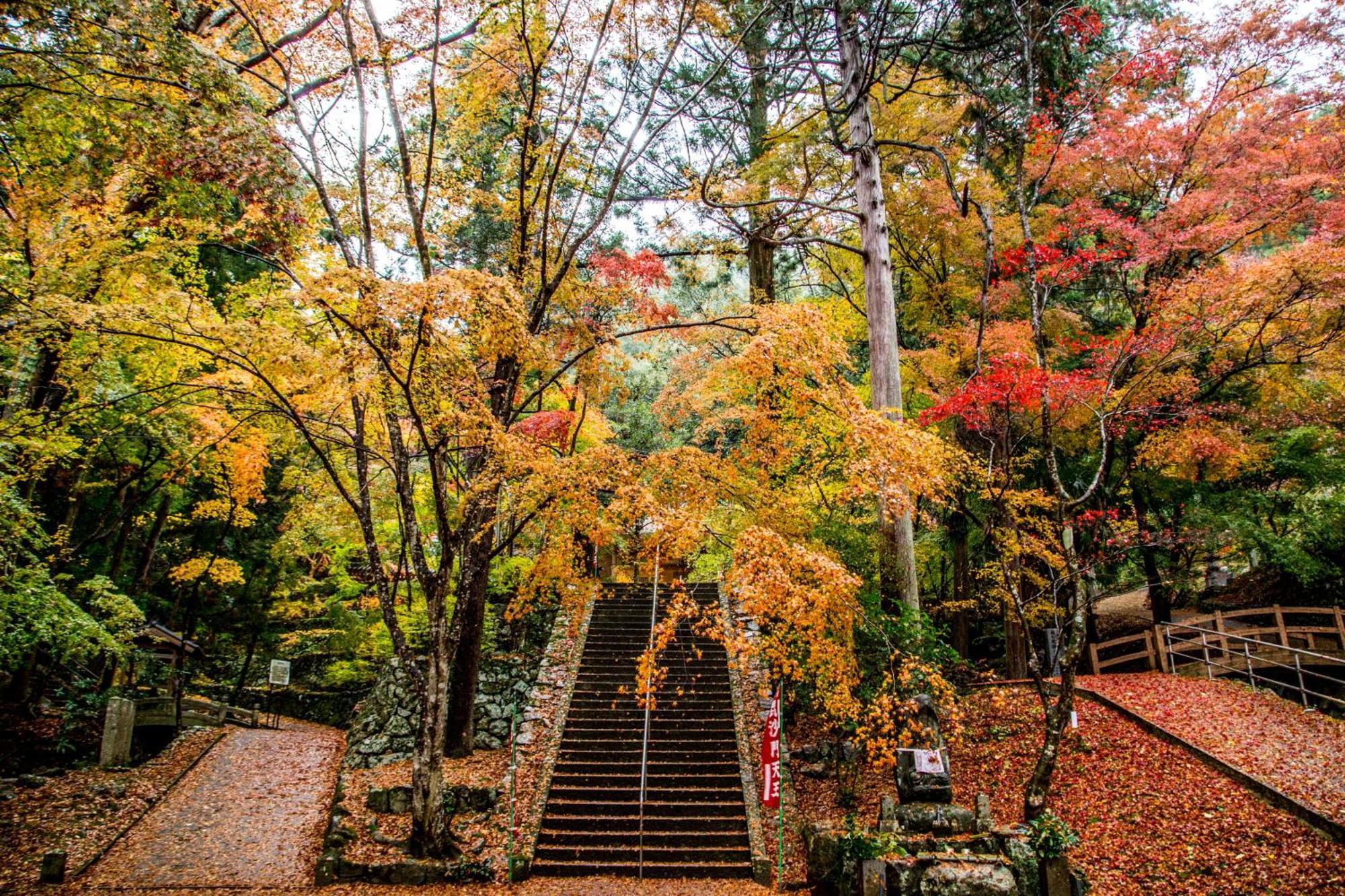 Satoyama Hotel Kanenone Tamba 米原市 エクステリア 写真