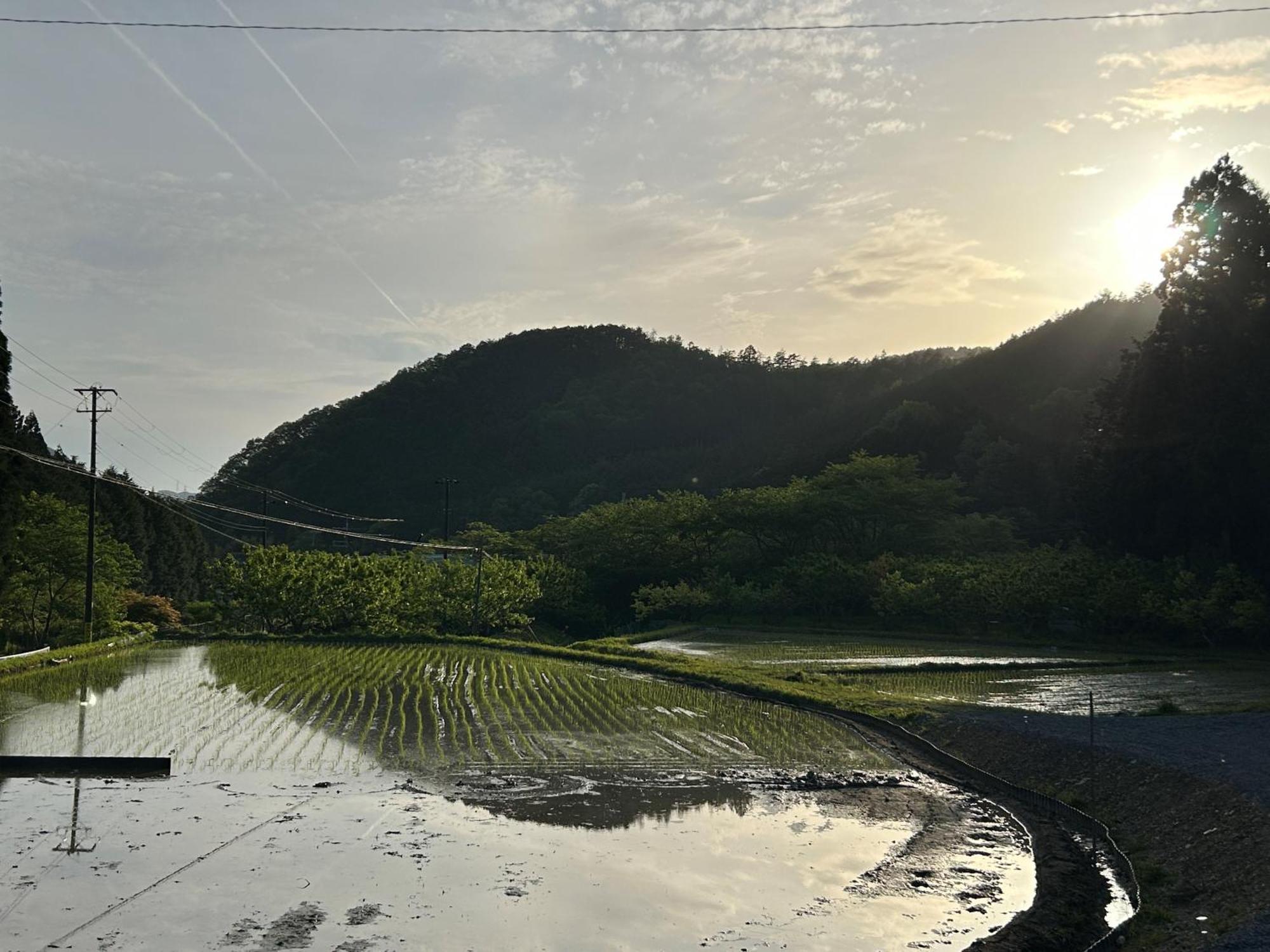 Satoyama Hotel Kanenone Tamba 米原市 エクステリア 写真
