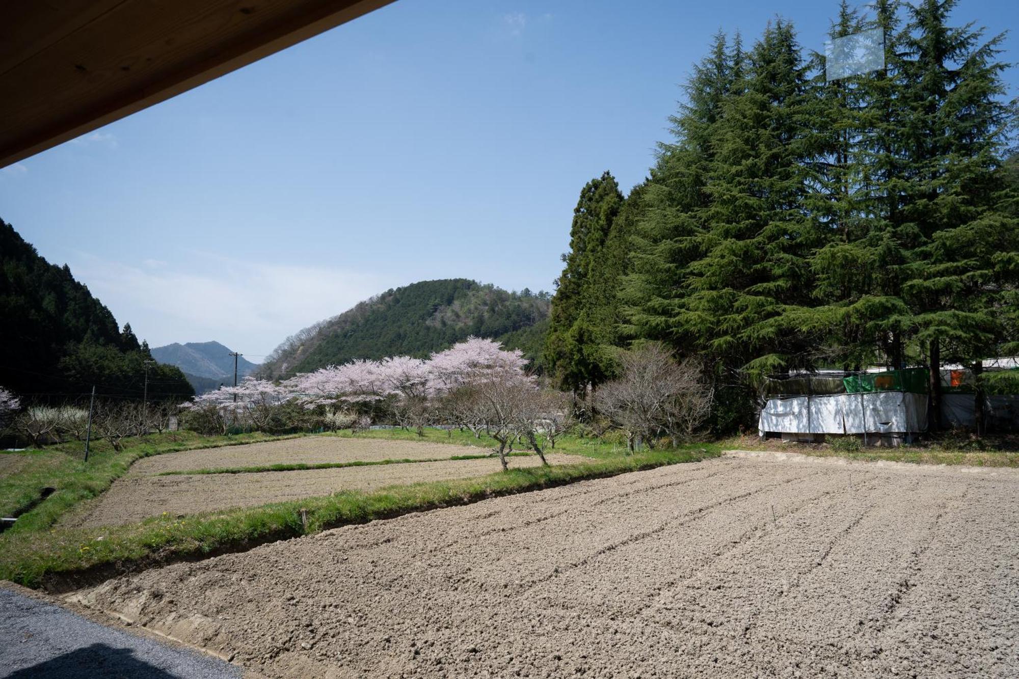 Satoyama Hotel Kanenone Tamba 米原市 エクステリア 写真